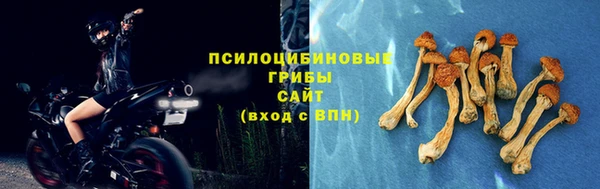 мяу мяу мука Алексеевка