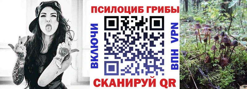 Псилоцибиновые грибы ЛСД  Лабинск 