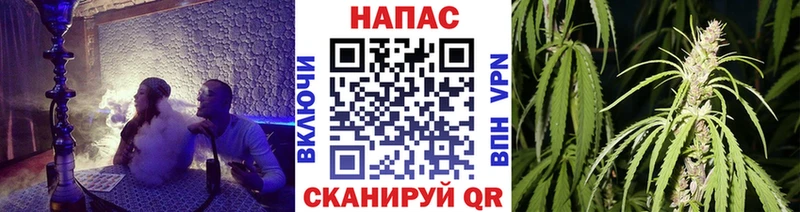 Бошки Шишки марихуана  где купить наркотик  Лабинск 